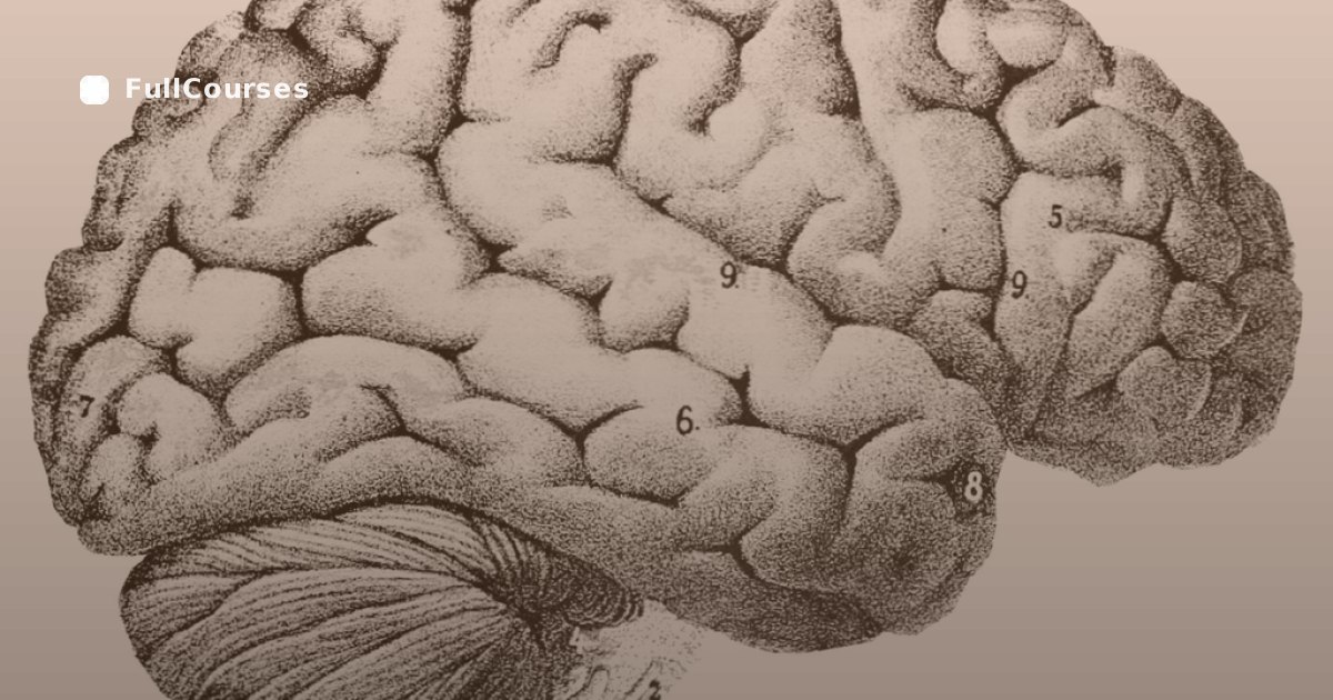Deep Learning 1 — Fundamentos e Redes Densas